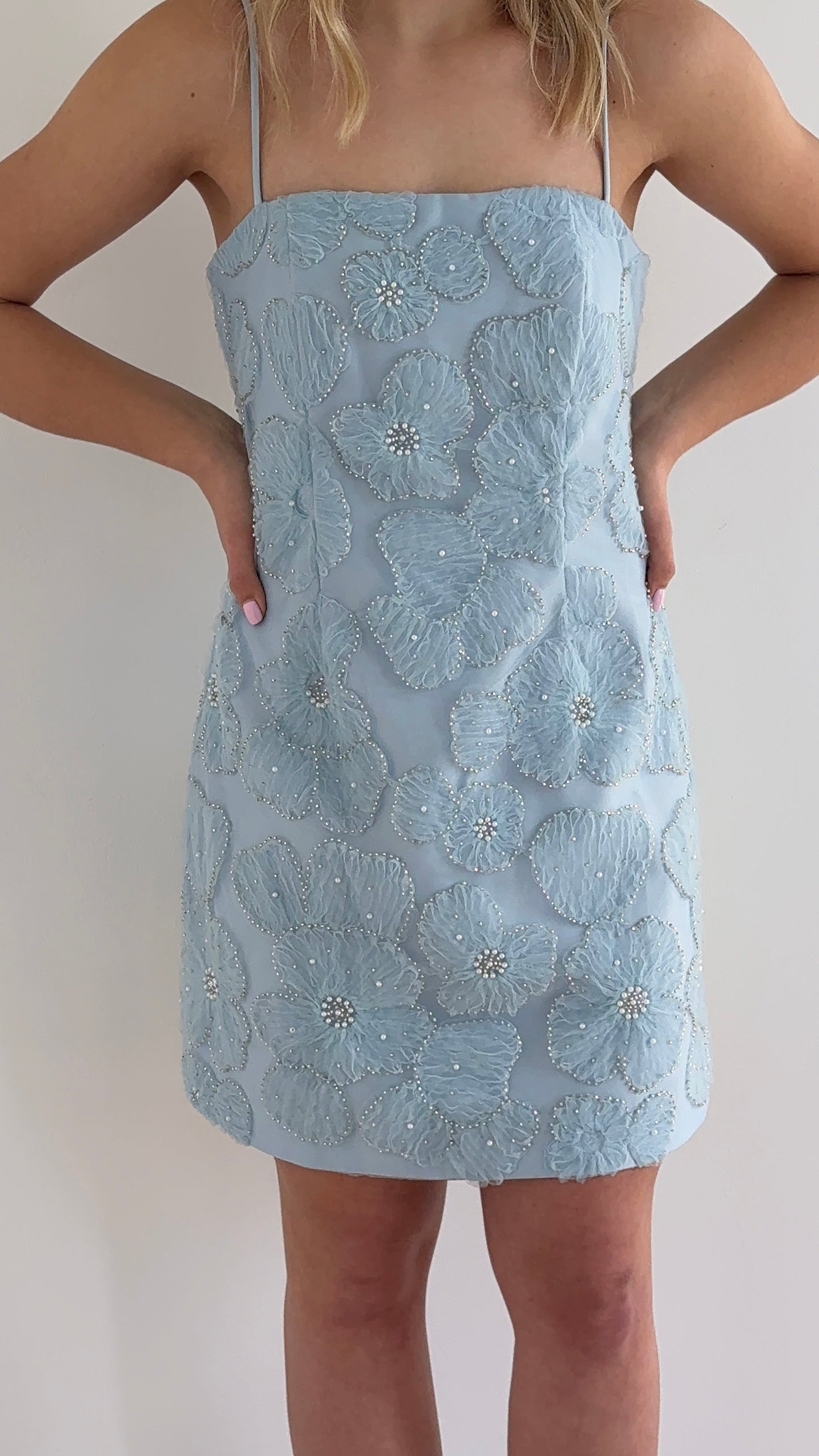 Blue Blossom Mini